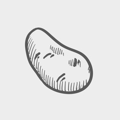 Potato sketch icon
