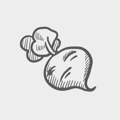 Onion sketch icon