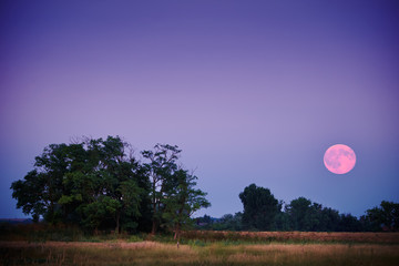 Full moon over field