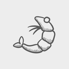Shrimp sketch icon