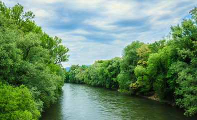 Fototapeta na wymiar beautiful landscape of trees by river in springtime
