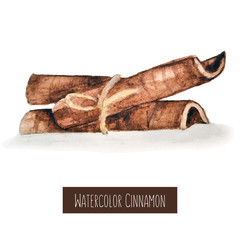 Watercolor hand drawn cinnamon illustration