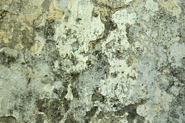 Cement wall texture background
