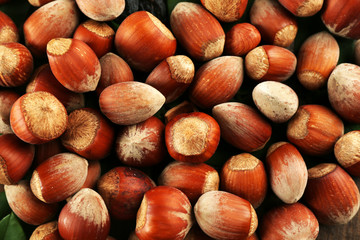 Hazelnuts close up
