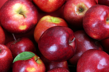 Red apples background