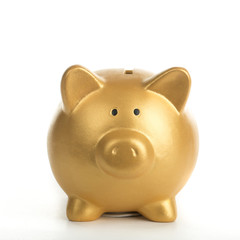 Piggy bank increasing your finance growing