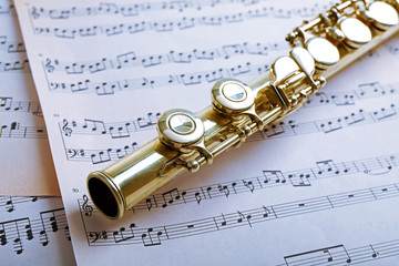 Flute on music notes background
