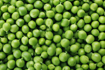 Heap of fresh green peas close up