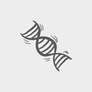 DNA Sketch Icon