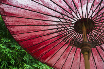 Traditional Asian oil paper umbrella with a red hue close-up against a lush green background
