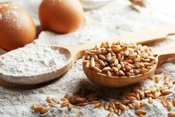Wheat and eggs on white flour background