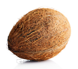 Coconut isolated on white