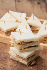 tuna sanwich