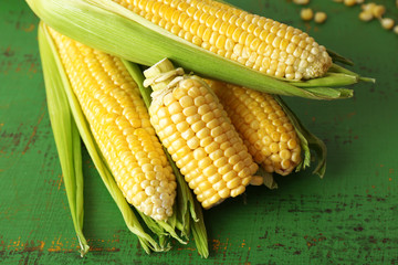 Fresh corn on cobs on green wooden background