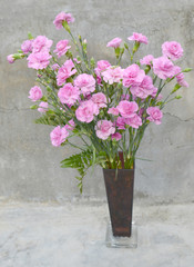 Obraz na płótnie Canvas Pink Carnations
