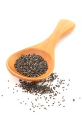 Poppy Seeds on White Background