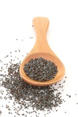 Poppy Seeds on White Background