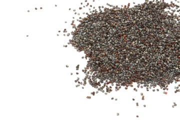 Poppy Seeds on White Background