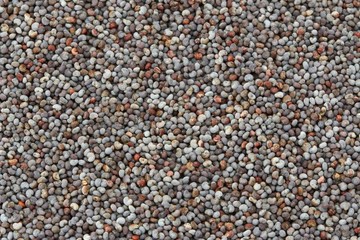 Poppy Seeds