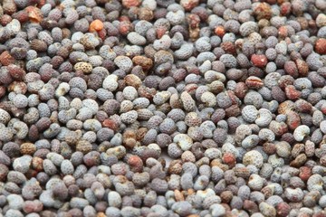 Poppy Seeds