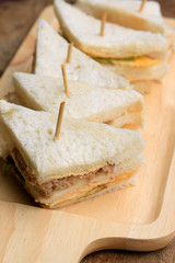 Fototapeta na wymiar tuna sanwich