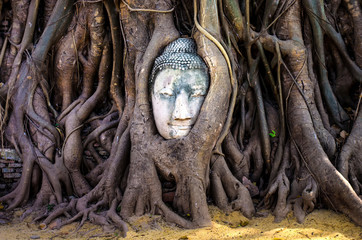 boeddha hoofd