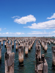 Array of old stumps in the Port Phillip bay sea water at the Princes pier near St. Kilda, Port...
