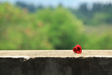 Heart on a cement floor