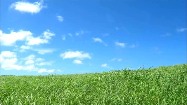 草原と青空と雲