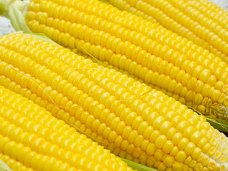Fresh corn cob