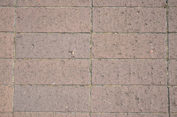 レンガのテクスチャ