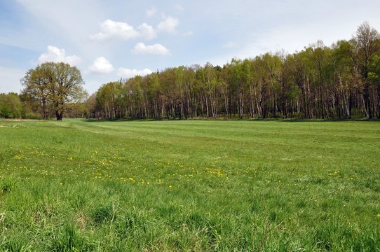 Dahlener Heide in Schmannewitz