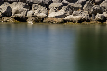 Bodenseeufer (Langzeitbelichtet)