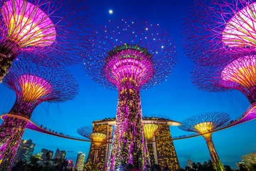 Foto auf Acrylglas Singapur Der Supertree in Gardens by the Bay