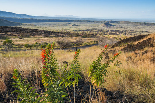 Volcanic landscape of the Masaya caldera, Nicaragua's first national park, with craters and a'a blocky lava, Masaya, Nicaragua