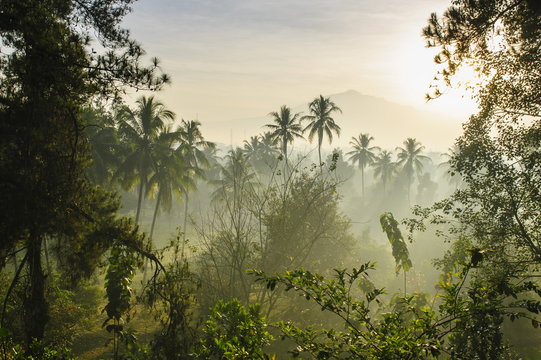 Early morning view of the countryside surrounding the temple complex of Borobodur, Java, Indonesia