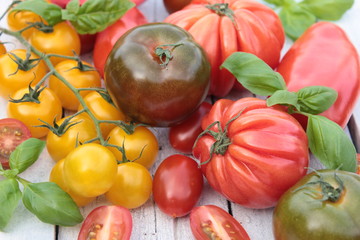 verschiedene Tomaten Sorten Holz Tisch weiß 