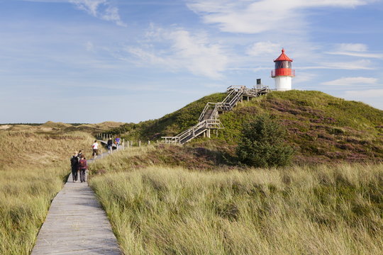 Nature path, Lighthouse Norddorf, Amrum, North Frisian Islands, Nordfriesland, Schleswig Holstein, Germany