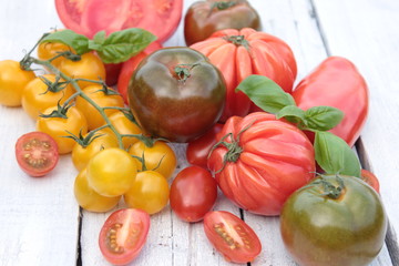 verschiedene Tomaten Sorten Holz Tisch weiß 