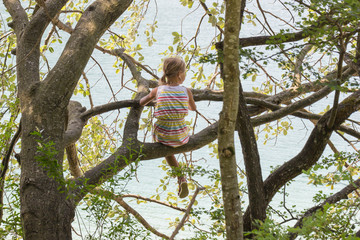 abenteuerlustiges Mädchen schaut vom Baum auf den See