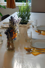 beautiful summer room interior with table set for dinner, filled with sunlight