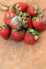 Strawberry rotten on wood vintage