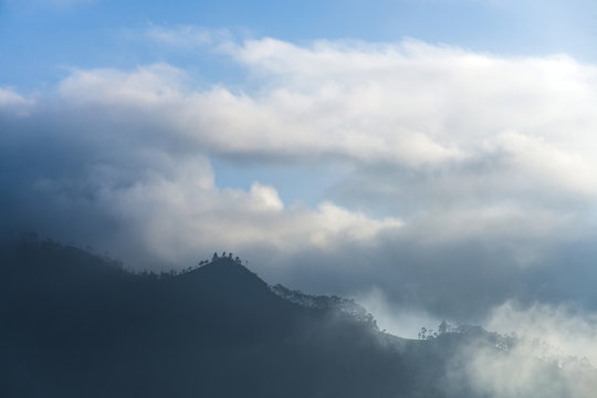 Haputale, above the clouds in the Sri Lanka Hill Country, Nuwara Eliya District, Sri Lanka