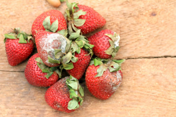 Strawberry rotten on wood vintage