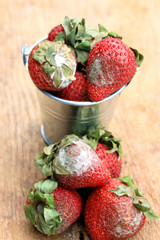 Strawberry rotten on wood vintage
