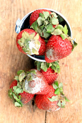 Strawberry rotten on wood vintage