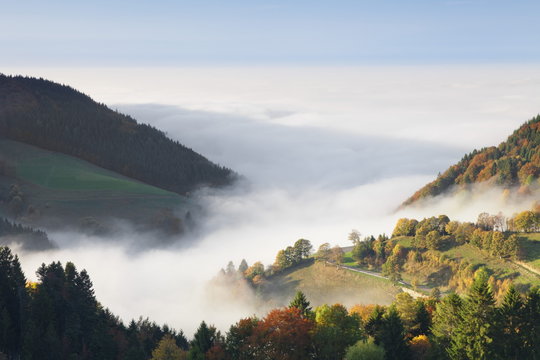 Foggy landscape in autumn, Wiedener Eck, Black Forest, Baden Wurttemberg, Germany