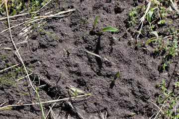 black ground texture