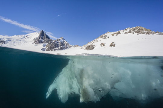 Above and below view of glacial ice in Orne Harbor, Antarctica