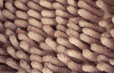 abstract background soft focus of microfiber fabric